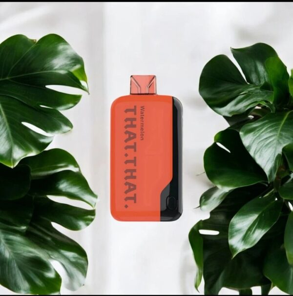THAT THAT 18K Puff Disposable Vape Watermelon Flavor - Image 2